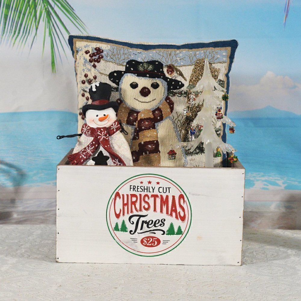 Snowman Pillow with Light Changing Snowman and Acrylic Tree in Box See Video
